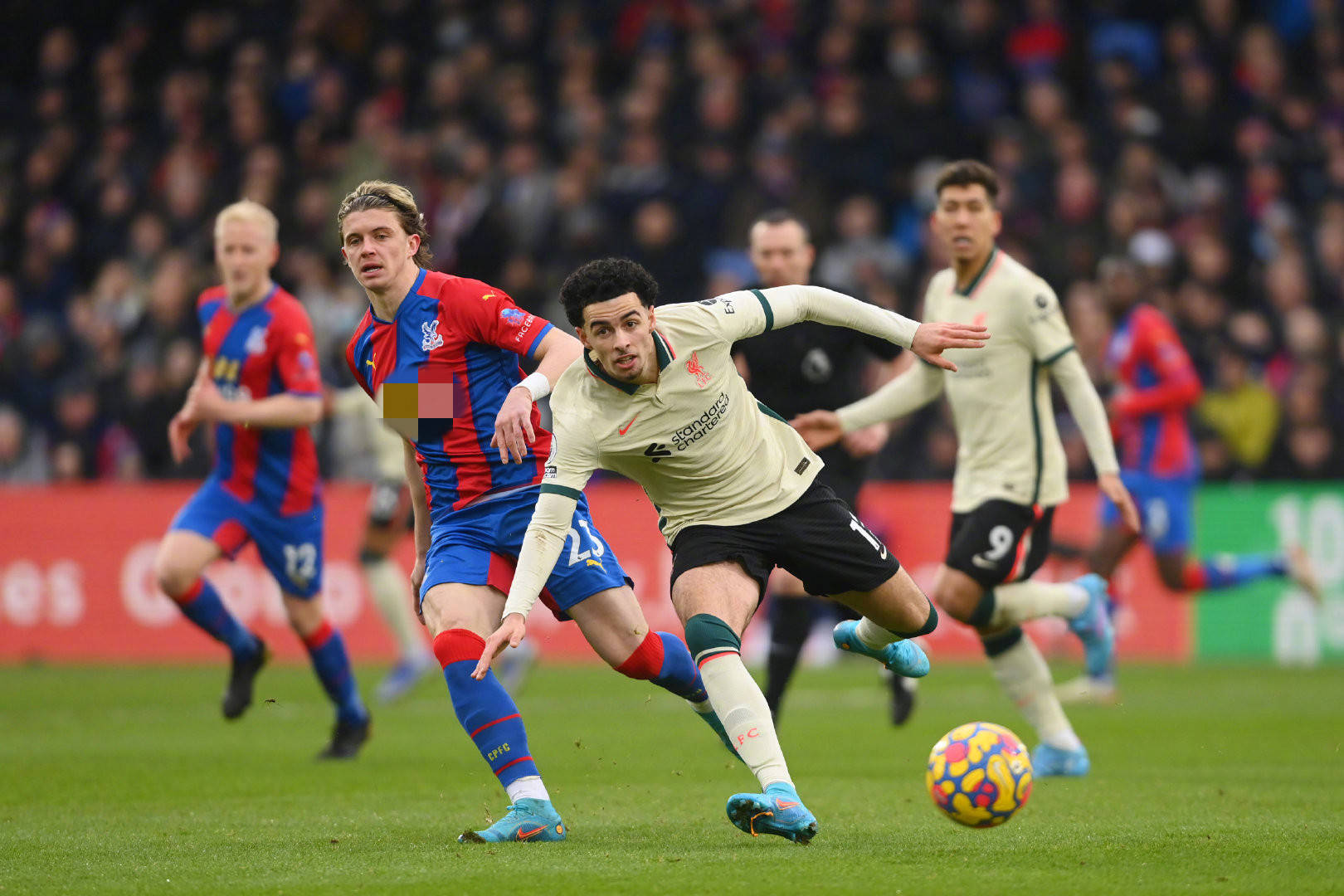 这个决定或 这个决定或